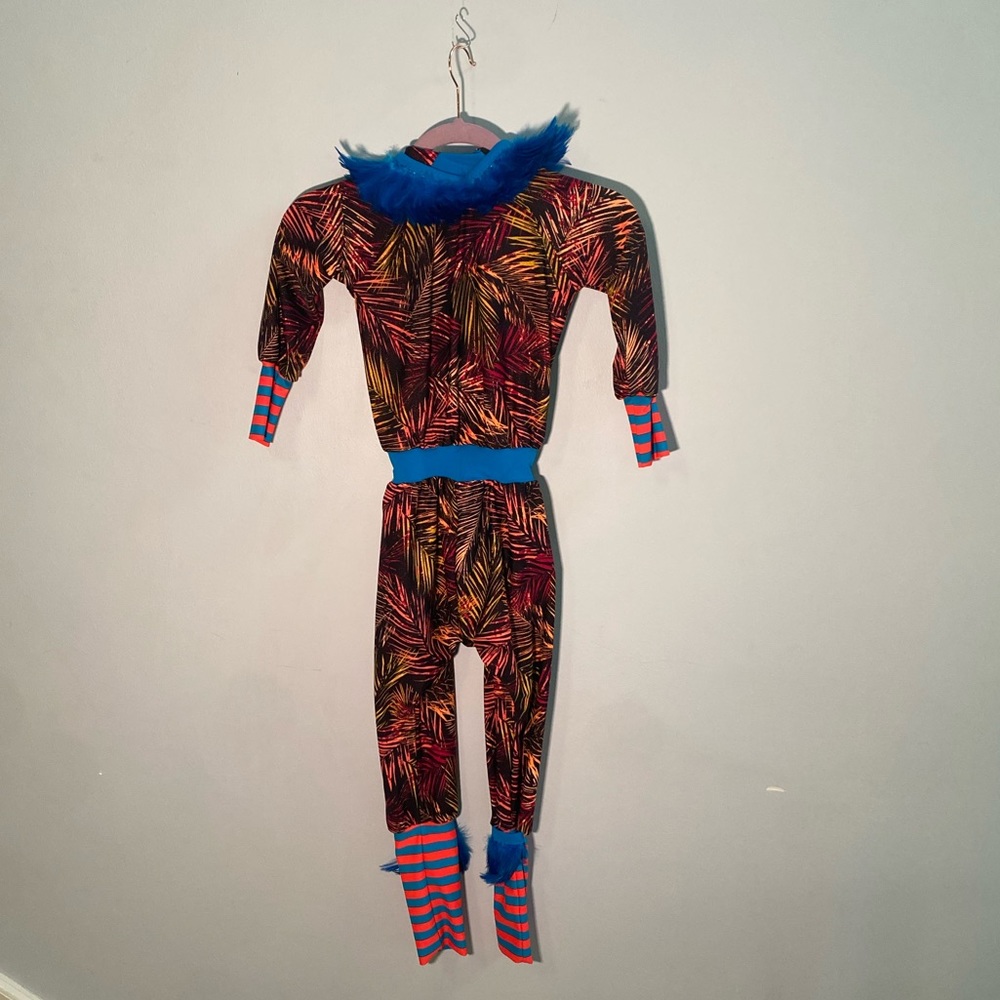Bird Halloween costumeUpcycled, child medium, feather adorned, hoodie multimedia